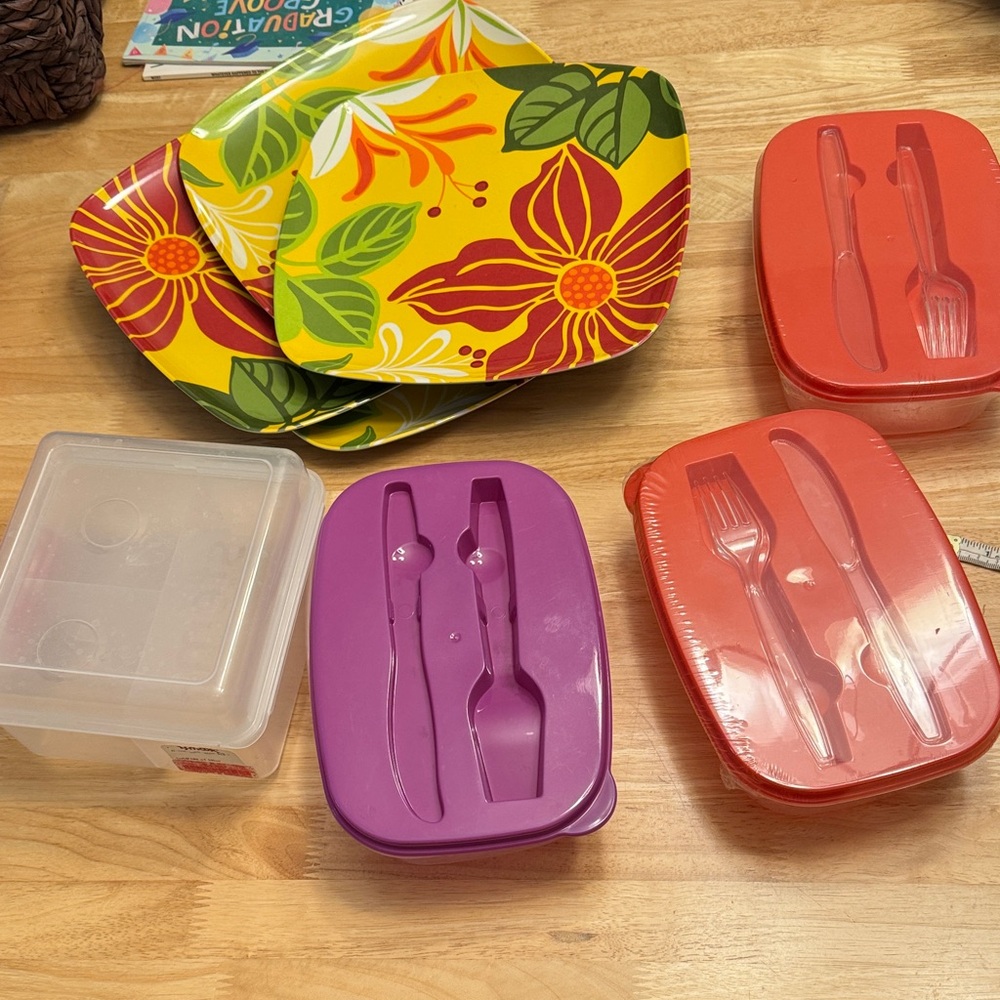 Colorful Floral picnic Plates and Lunch Containers